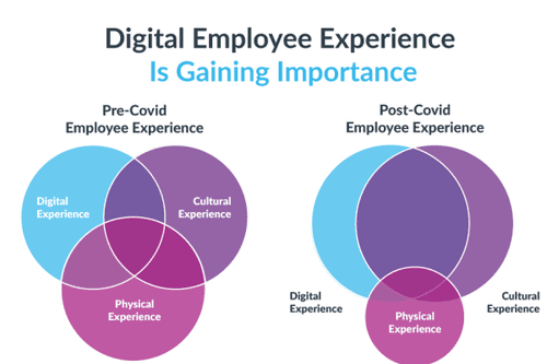 small_Digital_Employee_Experience_Gaining_Importance_qvmuc1ws0538veqyhsac0wqwgd5f24syzni5aer4io_ad5ae2d74a.png